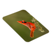 Magnet Flexible Cardinal mâle sur une branche (Côté Droit)