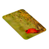 Magnet Flexible Cardinal mâle sur une bûche (Côté Droit)
