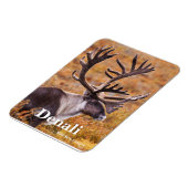 Magnet Flexible Caribou à Denali (Côté Gauche)