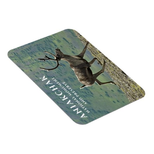 Magnet Flexible Caribou Running, Parc national d'Aniakchak, Réserv (Côté Droit)