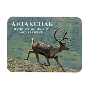 Magnet Flexible Caribou Running, Parc national d'Aniakchak, Réserv