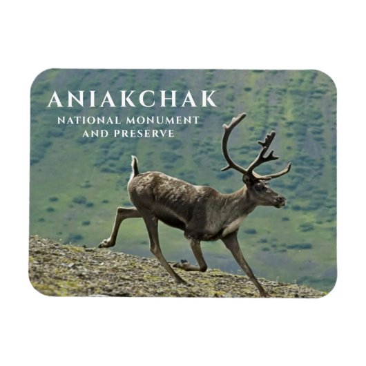 Magnet Flexible Caribou Running, Parc national d'Aniakchak, Réserv (Horizontal)