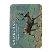 Magnet Flexible Caribou Running, Parc national d'Aniakchak, Réserv (Vertical)