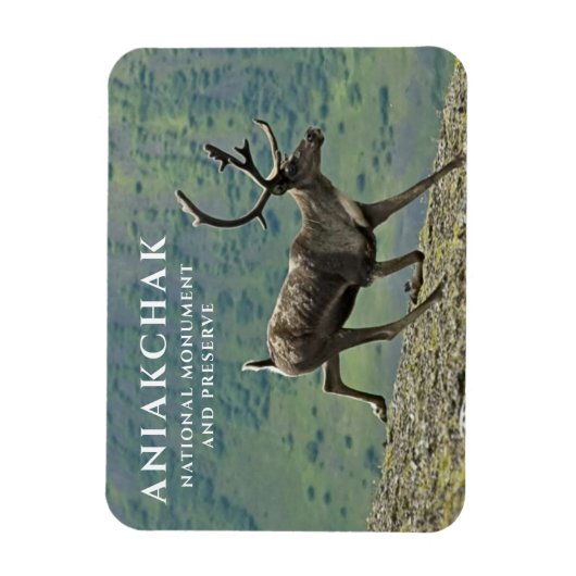 Magnet Flexible Caribou Running, Parc national d'Aniakchak, Réserv (Vertical)