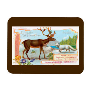 Magnet Flexible Caribou vintage (rennes) et renard arctique