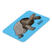 Magnet Flexible Caricature de la tortue des Galapagos (Côté Gauche)