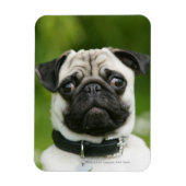 Magnet Flexible Carlin (Vertical)