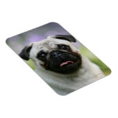 Magnet Flexible Carlin Feu en alerte (Côté Droit)