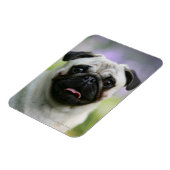 Magnet Flexible Carlin Feu en alerte (Côté Gauche)