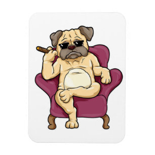 Magnet Flexible Carlin Fumer Cigar   Chien Carlin vraiment Cool