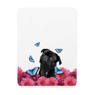 Magnet Flexible Carlin Gerbera Papillons Chien noir mignon