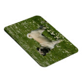 Magnet Flexible Carlin Jouer dans les fleurs (Côté Droit)