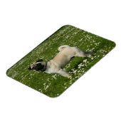 Magnet Flexible Carlin Jouer dans les fleurs (Côté Gauche)