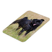 Magnet Flexible Carlin noir Sticking Out Tounge (Côté Gauche)