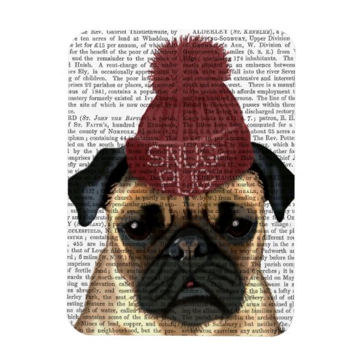 Magnet Flexible Carlin Snug (Vertical)