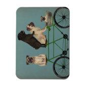 Magnet Flexible Carlin Tandem (Vertical)