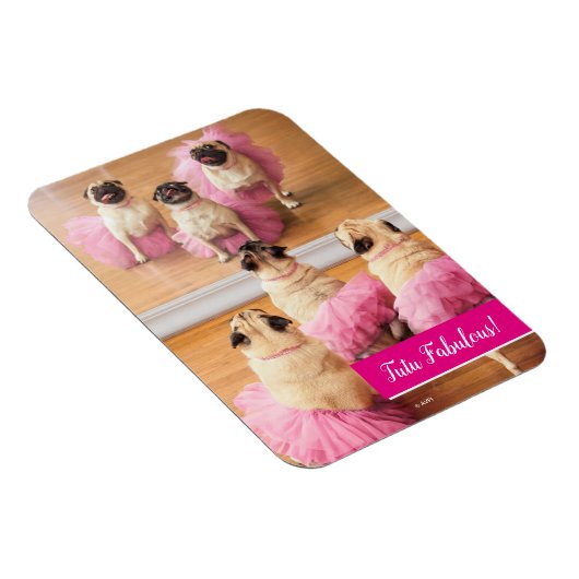 Magnet Flexible Carlins Ballerina En Tutus (Côté Droit)