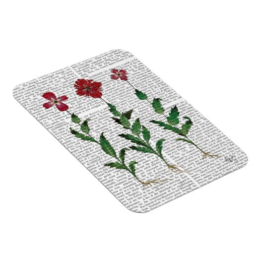 Magnet Flexible Carnation italienne 1 (Côté Droit)