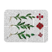 Magnet Flexible Carnation italienne 1 (Horizontal)