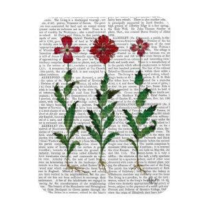 Magnet Flexible Carnation italienne 1