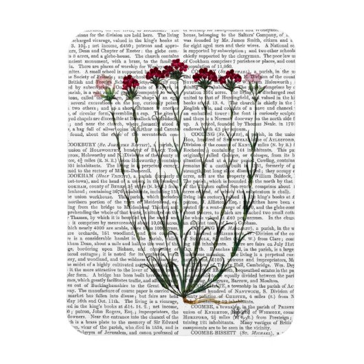 Magnet Flexible Carnation italienne 4 (Vertical)