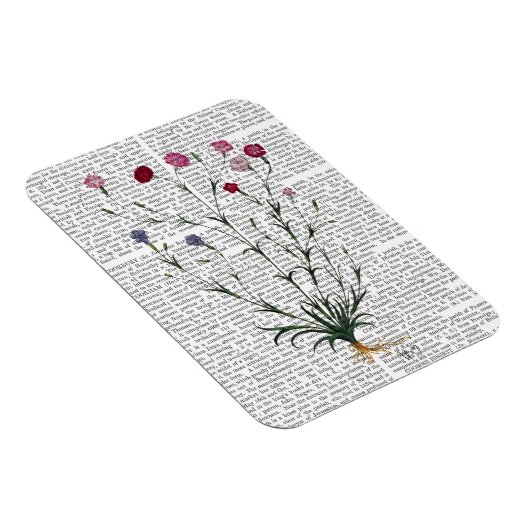 Magnet Flexible Carnation italienne 5 (Côté Droit)