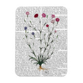 Magnet Flexible Carnation italienne 5 (Vertical)