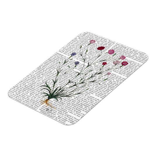 Magnet Flexible Carnation italienne 5 (Côté Gauche)