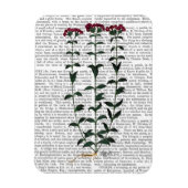 Magnet Flexible Carnation italienne 6 (Vertical)