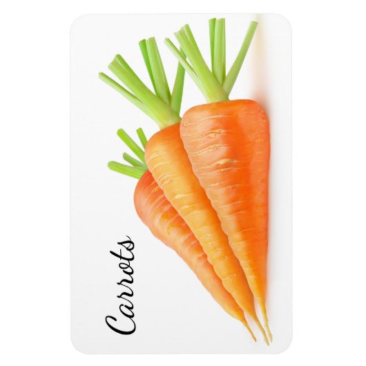 Magnet Flexible Carottes (Vertical)