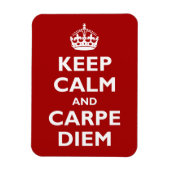 Magnet Flexible Carpe Diem ! (Vertical)