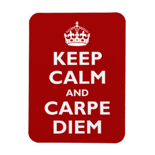 Magnet Flexible Carpe Diem !