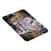 Magnet Flexible Carte Chouette (Côté Droit)