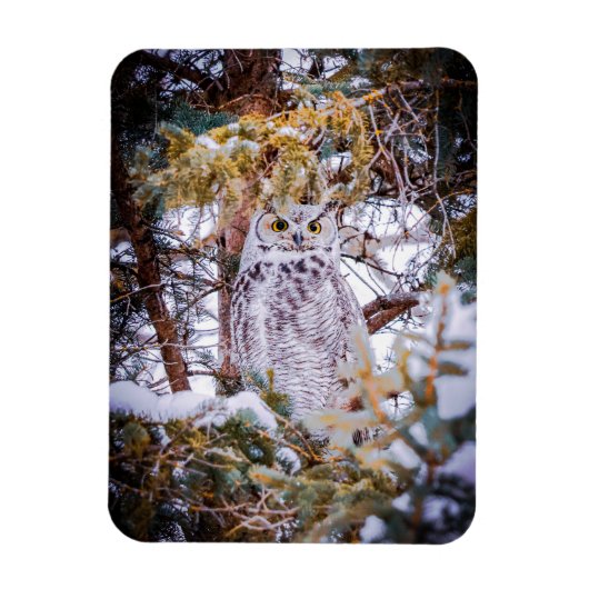 Magnet Flexible Carte Chouette (Vertical)
