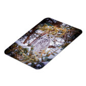 Magnet Flexible Carte Chouette (Côté Gauche)