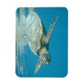 Magnet Flexible Carte postale (Vertical)