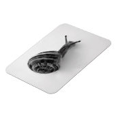 Magnet Flexible Carte postale escargot (Côté Gauche)