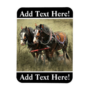 Magnet Flexible Carte postale Patiné vintage Clydesdale