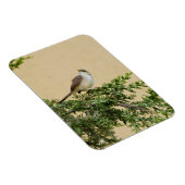 Magnet Flexible Carte postale Sparrow (Côté Droit)