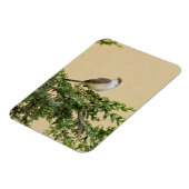 Magnet Flexible Carte postale Sparrow (Côté Gauche)