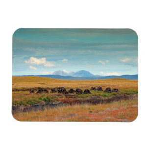 Magnet Flexible Cartes du Jura d'Islay, Ecosse