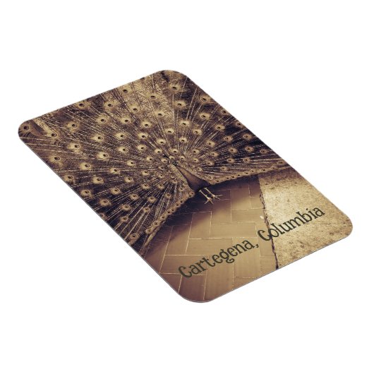 Magnet Flexible Carthagène (Colombie) (Côté Droit)