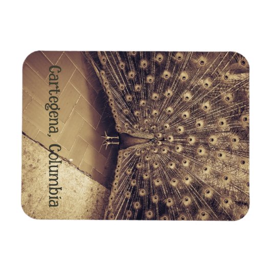 Magnet Flexible Carthagène (Colombie) (Horizontal)