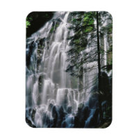 Cascade en forêt, Oregon