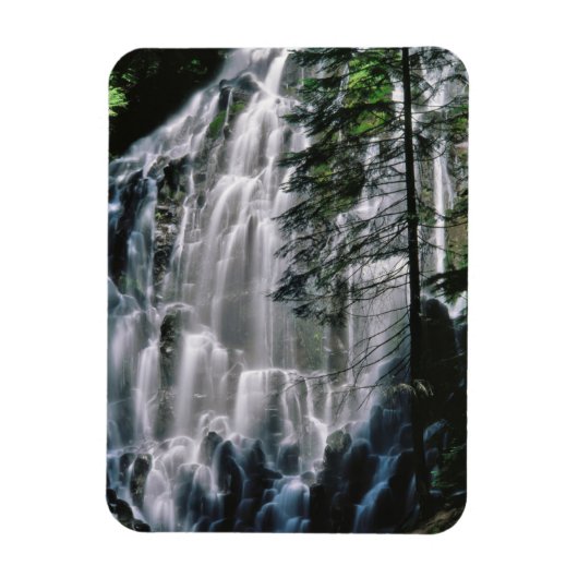 Magnet Flexible Cascade en forêt, Oregon (Vertical)