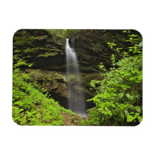 Magnet Flexible Cascade tombant dans un sinkhole, Whiteoak Sink,