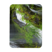 Magnet Flexible Cascade Verte Scénique (Vertical)