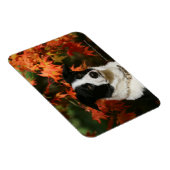 Magnet Flexible Casque Collie Automne Bordure (Côté Droit)