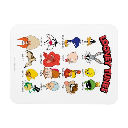 Magnet Flexible Casques LOONEY TUNES™ (Horizontal)