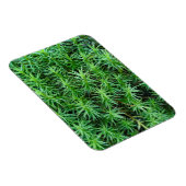 Magnet Flexible Casquette de cheveux Juniper Moss (Côté Droit)